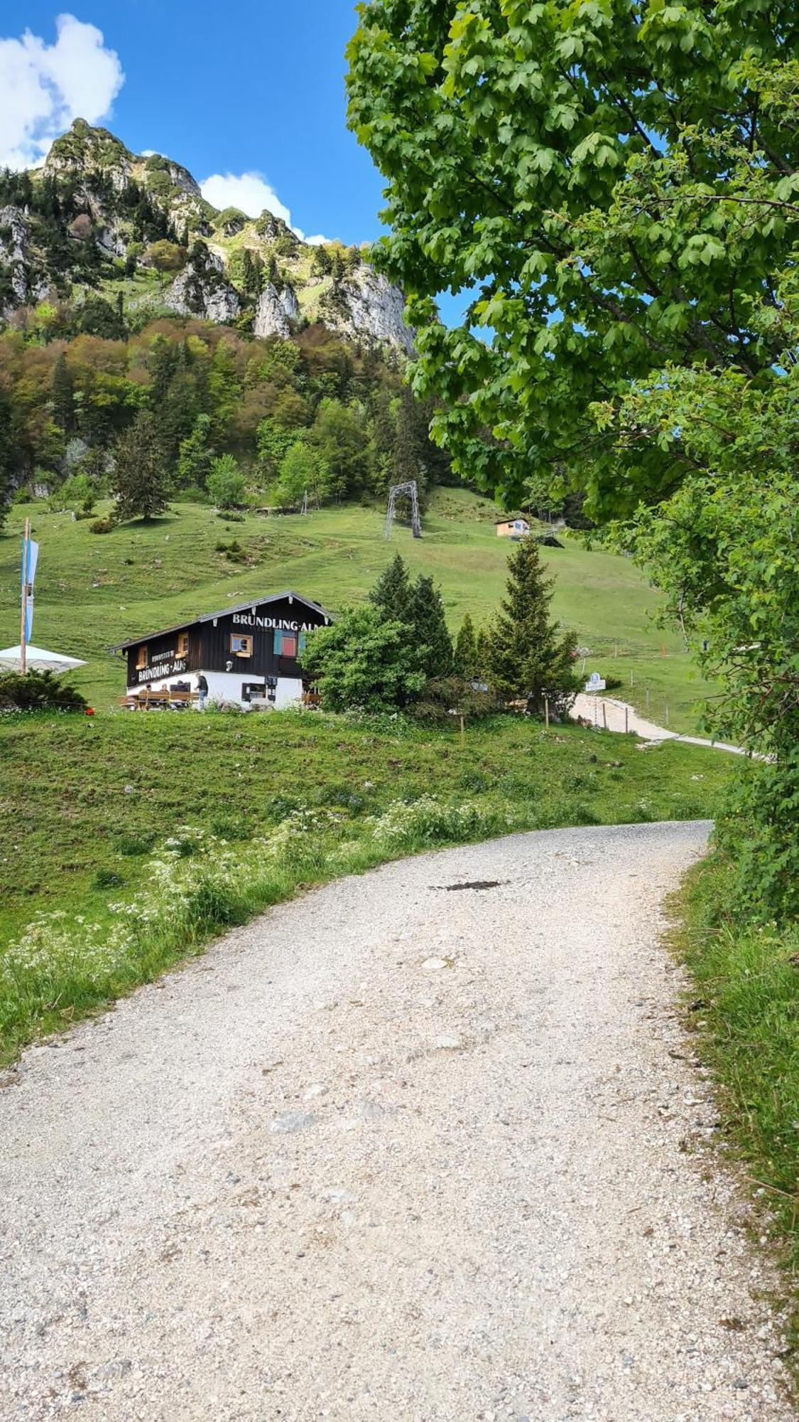 Bruendling-Alm Berggasthof Auf 1167M Auf Dem Hochfelln Bergen  Bagian luar foto